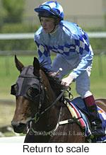 r1rtosc.jpg (9319 bytes)