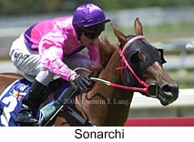 r2sonarchi.jpg (14056 bytes)