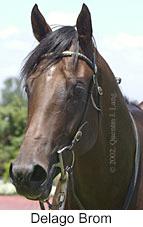 r3delagobrom2.jpg (7564 bytes)