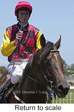 r3rtosc.jpg (8873 bytes)