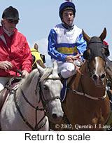 r4rtosc.jpg (10052 bytes)