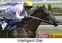 r6intelligentstar.jpg (10198 bytes)