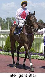 r6intelligentstar2.jpg (11222 bytes)