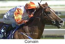 r8corvain.jpg (9696 bytes)