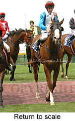 Return to scale (14008 bytes)