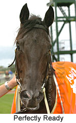 Perfectly Ready (14772 bytes)