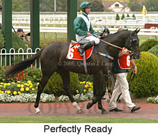 Perfectly Ready (14772 bytes)