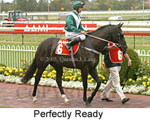 Perfectly Ready (14772 bytes)