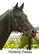 Perfectly Ready (14772 bytes)