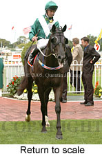 Return to scale (14008 bytes)