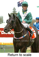 Return to scale (14008 bytes)