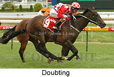 Doubting (14772 bytes)