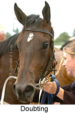 Doubting (14772 bytes)