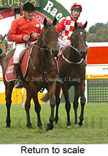 Return to scale (14008 bytes)