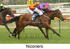 Niconero (14772 bytes)