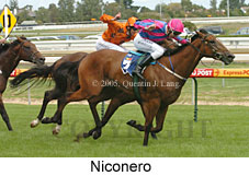 Niconero (14772 bytes)