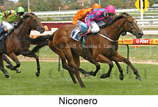 Niconero (14772 bytes)