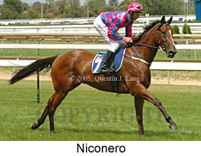 Niconero (14772 bytes)