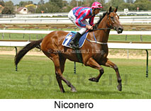 Niconero (14772 bytes)