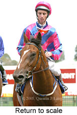 Return to scale (14008 bytes)