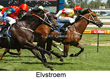 Elvstroem (14772 bytes)