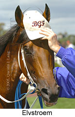 Elvstroem (14772 bytes)