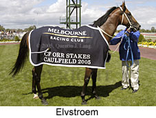 Elvstroem (14772 bytes)