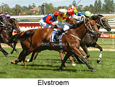 Elvstroem (14772 bytes)