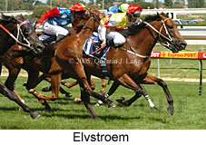 Elvstroem (14772 bytes)