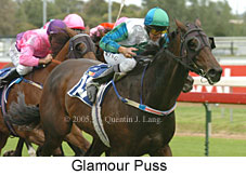 Glamour Puss (14772 bytes)