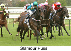 Glamour Puss (14772 bytes)