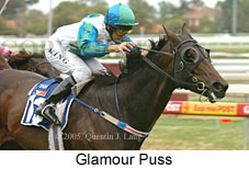 Glamour Puss (14772 bytes)