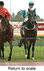 Return to scale (14008 bytes)