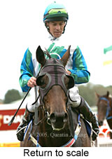 Return to scale (14008 bytes)