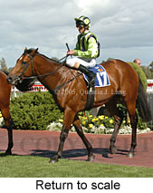 Return to scale (14008 bytes)