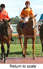 Return to scale (14008 bytes)