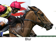 r1blur.jpg (13291 bytes)