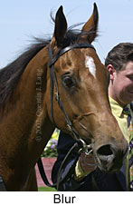 r1blur2.jpg (11540 bytes)