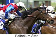 r2palladiumstar.jpg (16264 bytes)