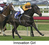 r3innovationgirl3.jpg (14987 bytes)