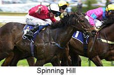 r4spinninghill.jpg (14677 bytes)