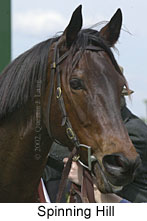 r4spinninghill2.jpg (9748 bytes)