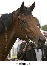 r6helenus2.jpg (10764 bytes)