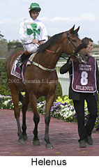 r6helenus3.jpg (12837 bytes)