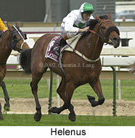 r6helenus5.jpg (14506 bytes)