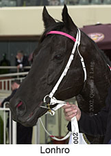 r7lonhro3.jpg (11245 bytes)