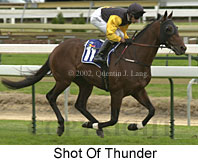 r8shotofthunder4.jpg (13529 bytes)