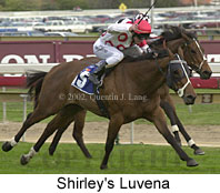 r9shirleysluvena.jpg (14490 bytes)