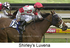 r9shirleysluvena2.jpg (13194 bytes)