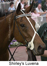 r9shirleysluvena3.jpg (13381 bytes)